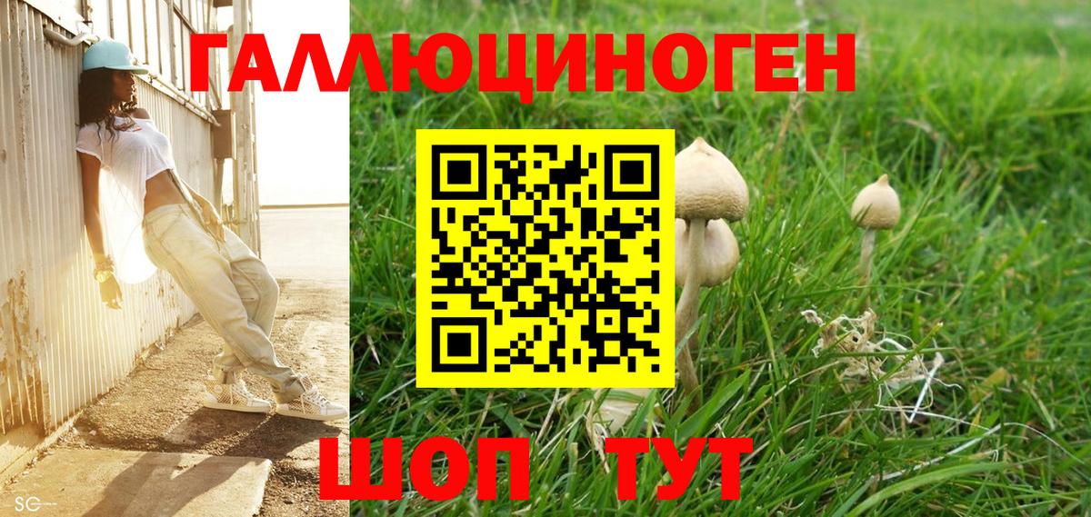 Псилоцибиновые грибы мухоморы  Галлюциногенные грибы Cubensis  Рыбинск  Вход с VPN 